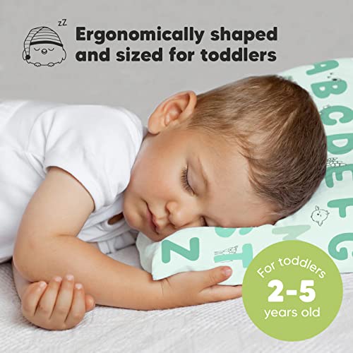 image for KeaBabies Toddler Pillow with Pillowcase - 13x18 My Little Dreamy Kids