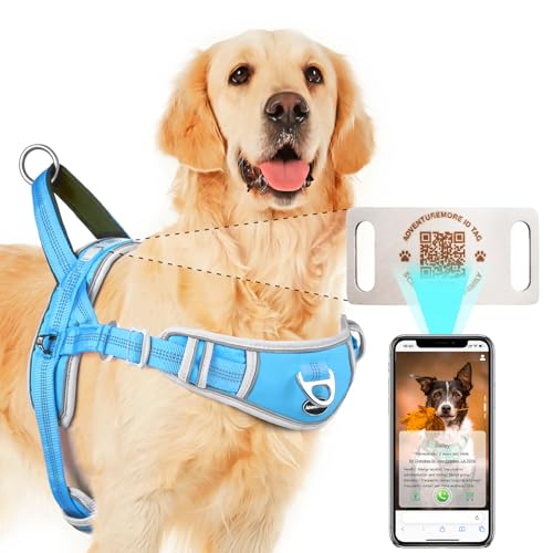 ADVENTUREMORE ^ Ȃ n[lX QRR[hhbO^OtA߉\Ȕ˃xXgAg[jOptgNbvnh EH[LOXXL Cgu[