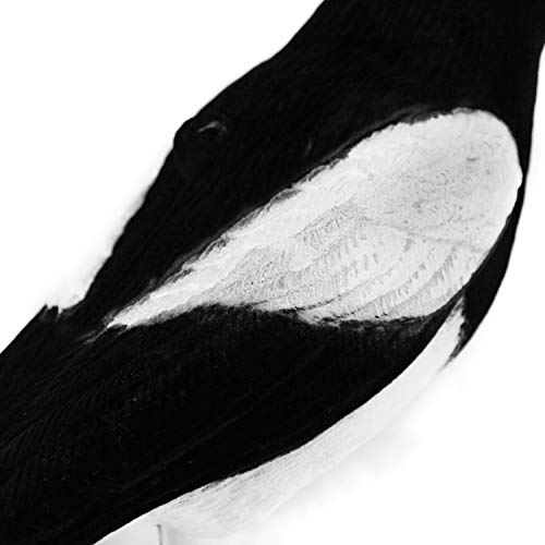 Foto von GUGULUZA 2 x beflockte Elster Lockvögel für die Jagd, Vogelfalle