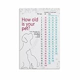 Cat And Dog Age Knowledge Chart Poster Canvas Painting Posters And Prints Wall Art for Living Room Bedroom Decor 12x18inch(30x45cm)