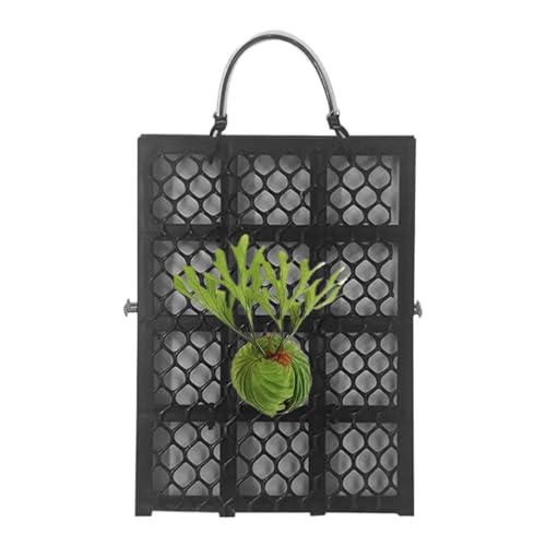 Staghorn Fernボード - 木製マウントディスプレイ、耐久性のある素朴なフレーム、天然の植物ホルダー、簡単な壁掛けデザイン、滑らかな洗練された表面|実用的なガーデニングの装飾適切な屋内垂直緑