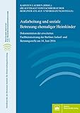 Aufarbeitung und soziale Betreuung ehemaliger Heimkinder: Dokumentation der erweiterten Fachbeiratssitzung der Berliner Anlauf- und Beratungsstelle am ... Instituts für Heimerziehungsforschung)