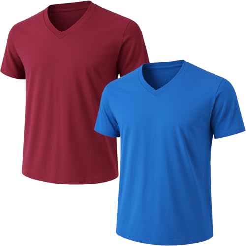2-Pack Bulk Men’s V-Neck T-Shirts – Soft Pre-Shrunk Premium Cotton, Short Sleeves, Reinforced Collar, Crew Neck, Casual Fit
