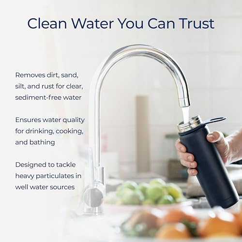 10 Micron 20 x 4.5 Water Filter | Whole House Radial Flow Carbon ...