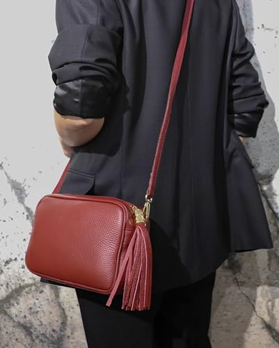 SH Leder Echtleder Umhängetasche mittel kleine Tasche Abendtasche Clutch Crossbody Bag Messenger Handtasche mit Reißverschluss 21x15cm Chiara G209 (Nude)
