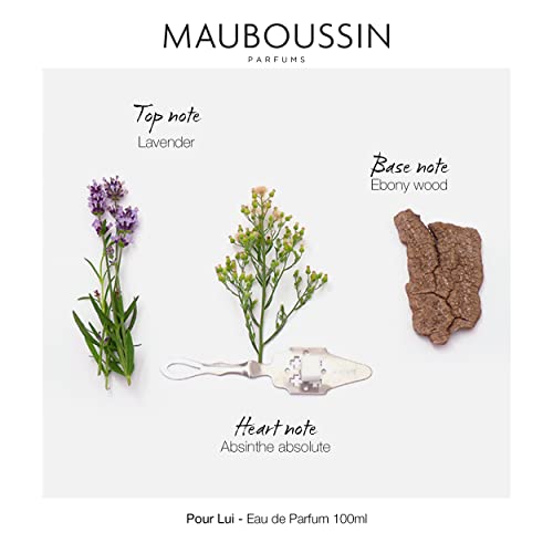 Mauboussin - Pour Lui 100ml (3.3 Fl Oz) - Eau de Parfum for Men - Fern & Modern Scents - Image 6