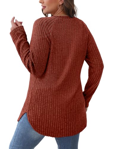 Image of Saloogoe Long Sleeve Shirts for Women 2025 Fall Clothes Tunic Tops Loose Fit Dressy Crewneck Pullover Sweaters Curved Hem
