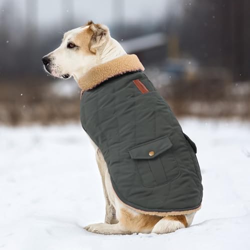 CITÉTOILE Wintermantel Hundemantel, Warme Winterjacken mit Fleece für Hunde,Hundejacke Hundekleidung Hundepullover Dog Coat mit Geschirr Loch für Chihuahua Dackel, Grau, XS