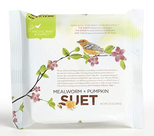 Pumpkin Mealworm Suet Cake, 12.5 Oz