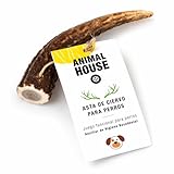 Animal House Cuerna de Ciervo 100% para Perros a Masticar, Juguete Hueso, Natural para Mantener los Dientes y Las encías sanos y limpios. para Todas Las Tallas (S)