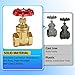 Boltigen 3/4’’NPT Brass Gate Valve, 200 WOG Manual Rotary Sluice Valve with Wheel Handle, Double Female Thread Heavy Duty Water Shut Off Gate for Water, Oil, Gas, Plumbing and HVAC Systems