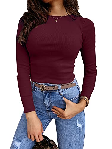 Lynwitkui Womens Long Sleeve Fitted Shirts Ribbed Knit Slim Tight Fit Basic Tees Fall Going Out Tops