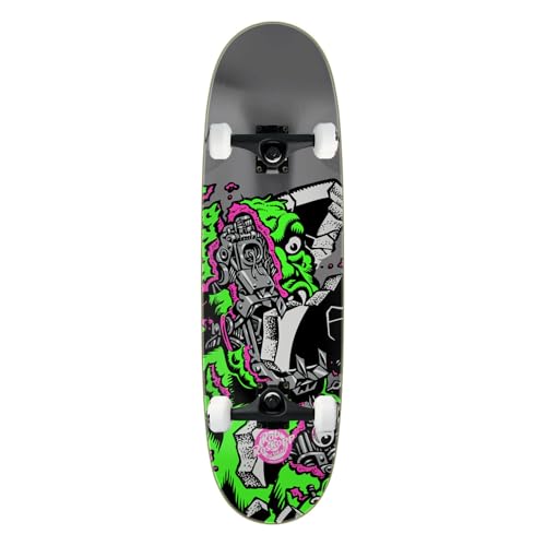 Santa Cruz Skateboard Assembly Roskopp Macro VX Egg 9.0