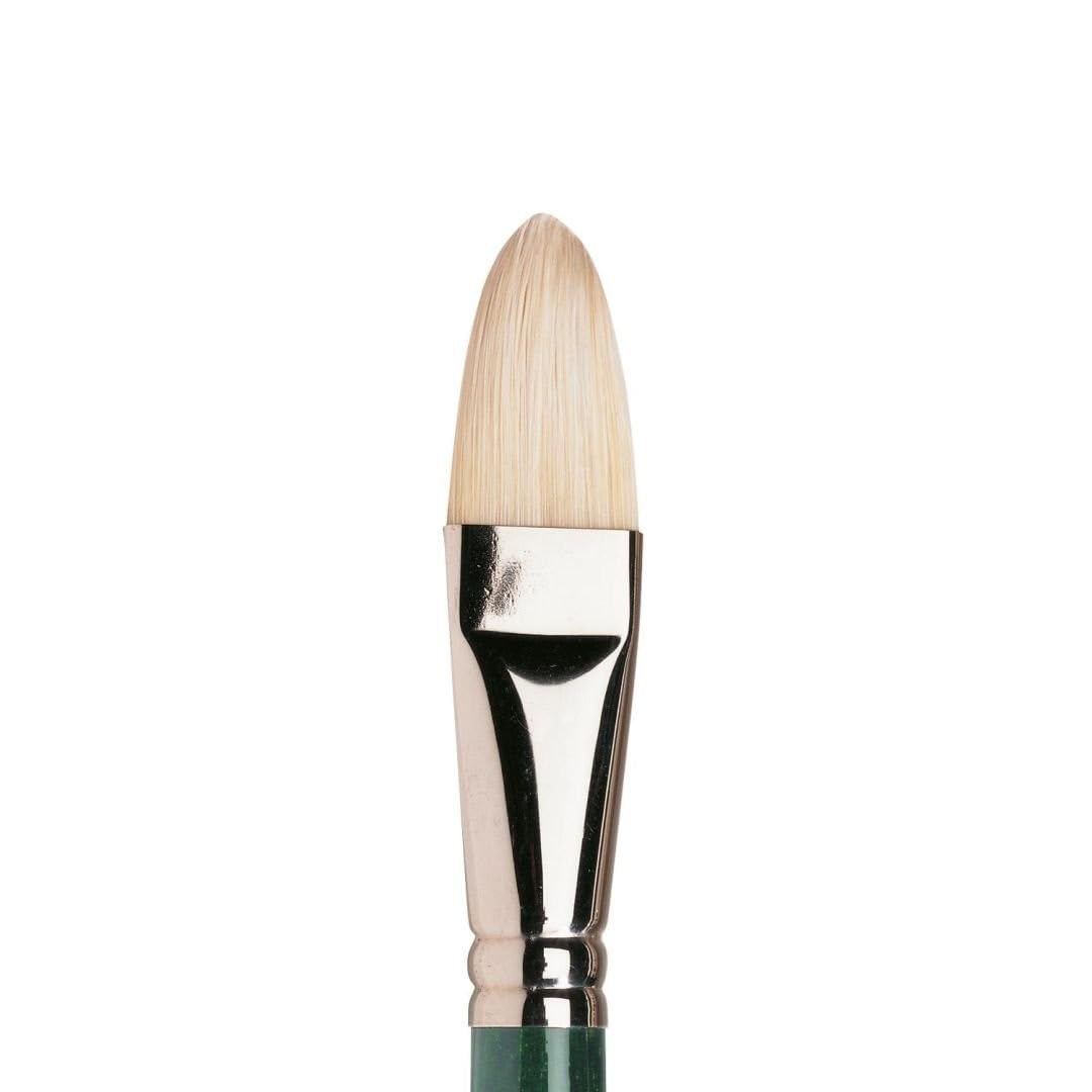 WN Winton Filbert Brush - 12, ECFWF12