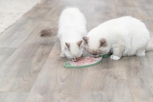 Trixie - Lick'n'Snack Tischdecke für Katzen, Lametablett aus Silikon, 28 cm, rutschfest, blau, spülmaschinenfest und gefriergeeignet