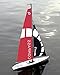 POCO DIVO Sailing Boat 2.4Ghz Compass RG65 Class Competition Sailboat RC Wind Power Sail Yacht