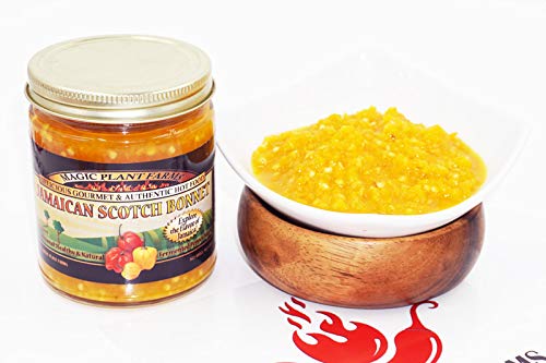 Pepper Mash Collection - Carolina Reaper + Yellow Scotch Bonnet + Ghost Pepper