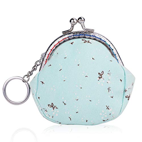 tiny coin purse