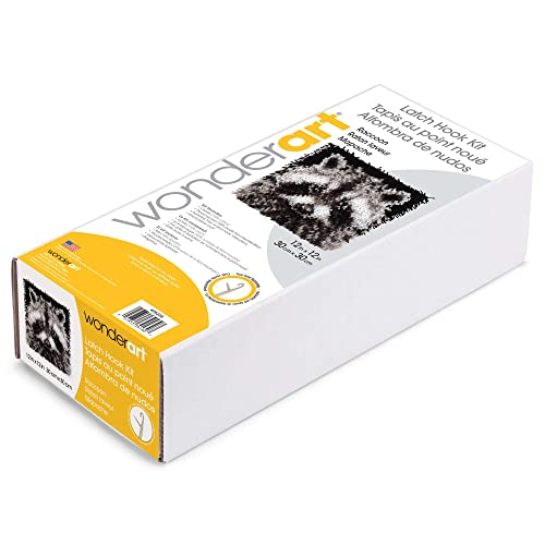 Image of Wonderart Latch Hook Yarn, Racoon