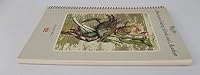 American Cooking: Creole and Acadian Plus Recipes (Boxed Set of 2 Books) B000XEGBKG Book Cover