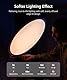 amaran Verge Max 22 Bi-Color Rundlicht für Schreibtisch oder Studio, Edge-Lit LED-Panel, 2700K–6500K, CRI 96, Frontregler & USB-C Stromversorgung, mit Tischklemme – Anthrazit