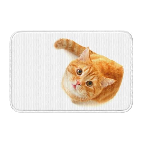 玄関マット 猫柄 バスマット 室内 屋外 足拭きマット カーペット おしゃれ 北欧 滑り止め付き 洗える ベットルーム 浴室 台所 寝室 業務用 家庭用 40×60cm