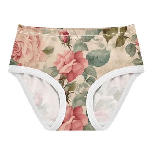 Vintage Rose Pink Underwear Girls, Toddler Panties, Girls Cotton Underwear, 2–8 Years