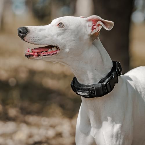 OneTigris Hundehalsband Kleine Hunde, Taktisches Hundehalsband mit Griff, Weich Gepolstert Breites mit Kunststoffschnalle und Ring aus Aluminiumlegierung, Schwarz, S(30-40cm)