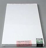 Woodland Scenics ST1422 Foam Sheet 1/4