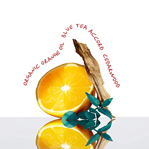 Calvin Klein Ck Everyone Unisex Eau De Toilette, 1.6 Fl Oz #TOP5