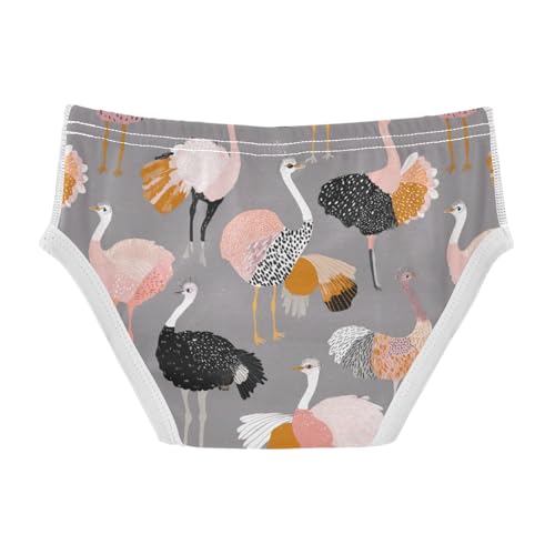 Wusikd Cartoon Geese Boys' Underwear Cotton Boys Briefs Soft Toddler Underwear 2T2