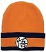 Great Eastern Entertainment Dragon Ball Z Goku Icon Beanie
