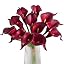 Dark Red