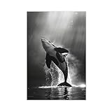 NKALFGH Atemberaubendes Schwarz-Weiß-Wal-Poster, 