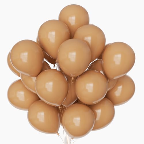 ciopswslk 65pcs Set Ceiling Decorations Party Balloons 32.8ft Streamers Decorations 10 Inch Party Balloons Streamers Decorations