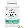 Bandini® Fucus Kelp Algae 150mcg | Seaweed Natural Source of Iodine from Brown Algae | Energy Metabolism, Nails, Hair | Highly Dosed, No Additives | 365 Tablets for 1-Year Supply | Vegan & Non-GMO