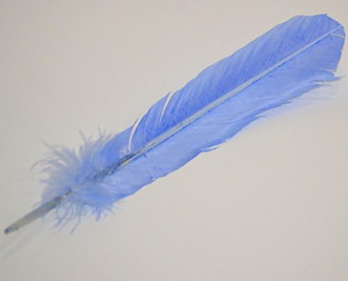 5"-6" White Sage Smudge Bundle w/Choice of Feather Cleansing. Smudging, Herb, Wicca, Native (Blue)