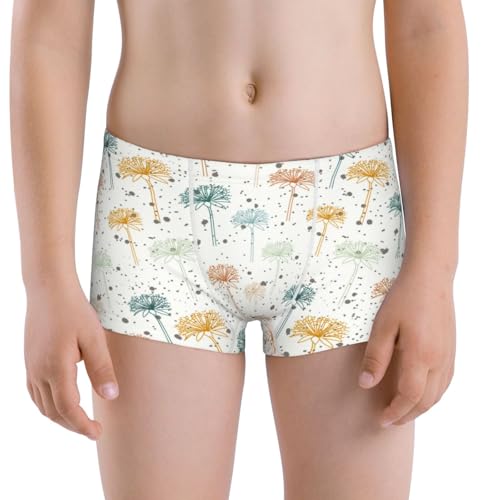 Boys' Cotton Boxer Brief Soft Underwear-Dandelion