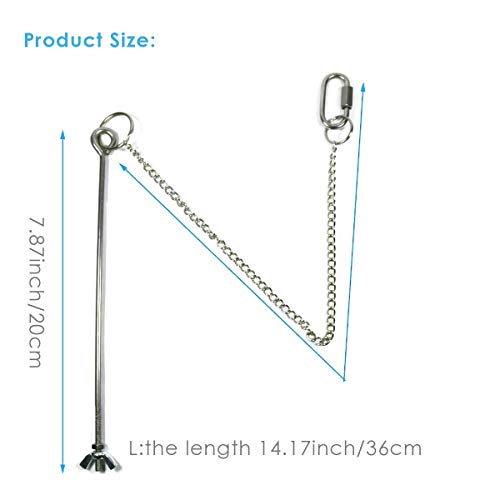 2 Stks Kip Groenten Spies Fruit Houder Voor Kippen Vogel Rvs Voedsel Houder Fruit Groente Stok Houder Vogels Opknoping… - Afbeelding 3