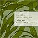 TOSOWOONG Laminaria Firming Cream with Niacinamide, Fights Wrinkles & Evens Tone, Firming Anti-Wrinkle Face & Neck Cream, Glycerin & Adenosine, 50g, 1.76 oz.