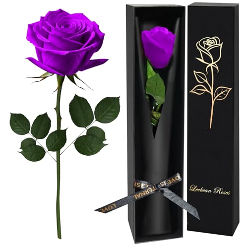 Purple Single Forever Roses Luxury Gift for Women/Men Fresh Flowers Bouquet for Girlfriend Wife Mom Anniversary Valentines Day Wedding Graduation Christmas Birthday Unique Presents for Her