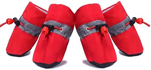 2021 Dog Small Shoes