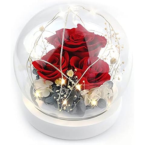 Kylin Glory Forever Flowers Konservierte Rosen Geschenk Cover