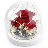 ✨Soporte profesional: el paquete contiene 3 rosas eternas, 1 caja de regalo. Tamaño diseñado, altura: 12,4 cm, diámetro de la base: 12,4 cm. Los componentes de las flores se incluyen en nuestra primera imagen, comprueba los detalles y una vez que recibas el artículo, ponte en contacto con nosotros lo que no estés satisfecho, te ayudaremos con atención al 100%. Disfruta de tu compra en línea