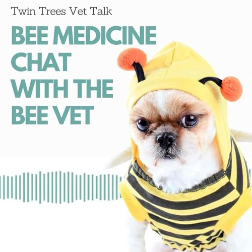 Chatting Bee Medicine With The Bee Veterinarian | Twin Trees Vet Talk