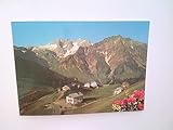 Nesslegg. Österreich. Braunarlspitze. Panorama. Häuser. Stempel: Hotel Widderstein, Haus Alpenblick. Alte AK.