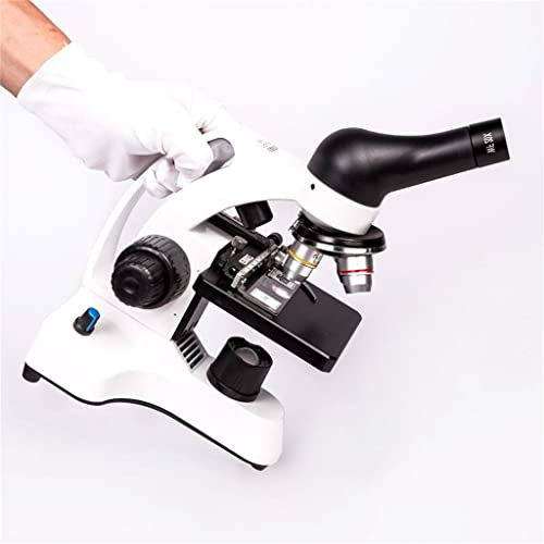 Microscope électronique LED HD pour éliminer le flou des petites observations