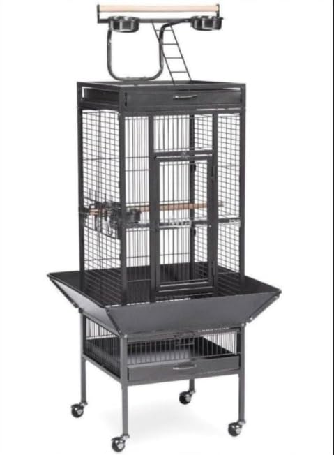 A10 Birds cage Foldable Metal Bird Cage for Macaw,Grey Parrot,Cocktail, Conures,Amazon,cuckatoo with Stand,Wheel,Play top, Tray - L:67cm x B:67cm x H-156 cms/bar spacing 17mm-[ Colors May Vary ]-image-10