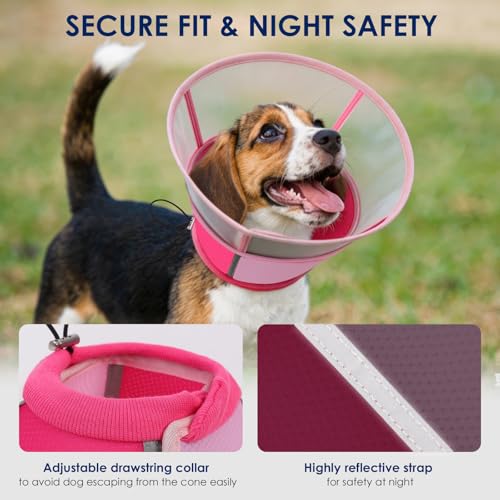 Image of KOESON Soft Medium Dog Cone Collar After Surgery to Stop Licking