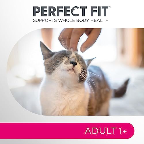 PERFECT FIT™ Katze Beutel Adult 1+ mit Lachs 3x2,8kg